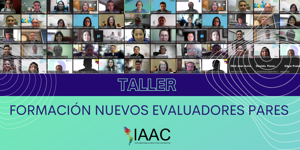 2023 05 02 Taller evaluadores artículo Esp