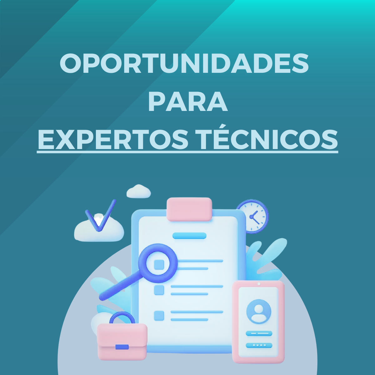 Expertos Técnicos