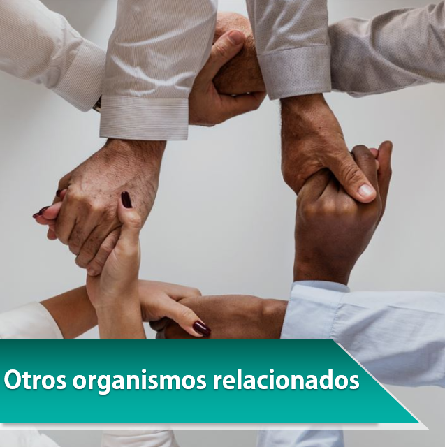 Otros organismos relacionados